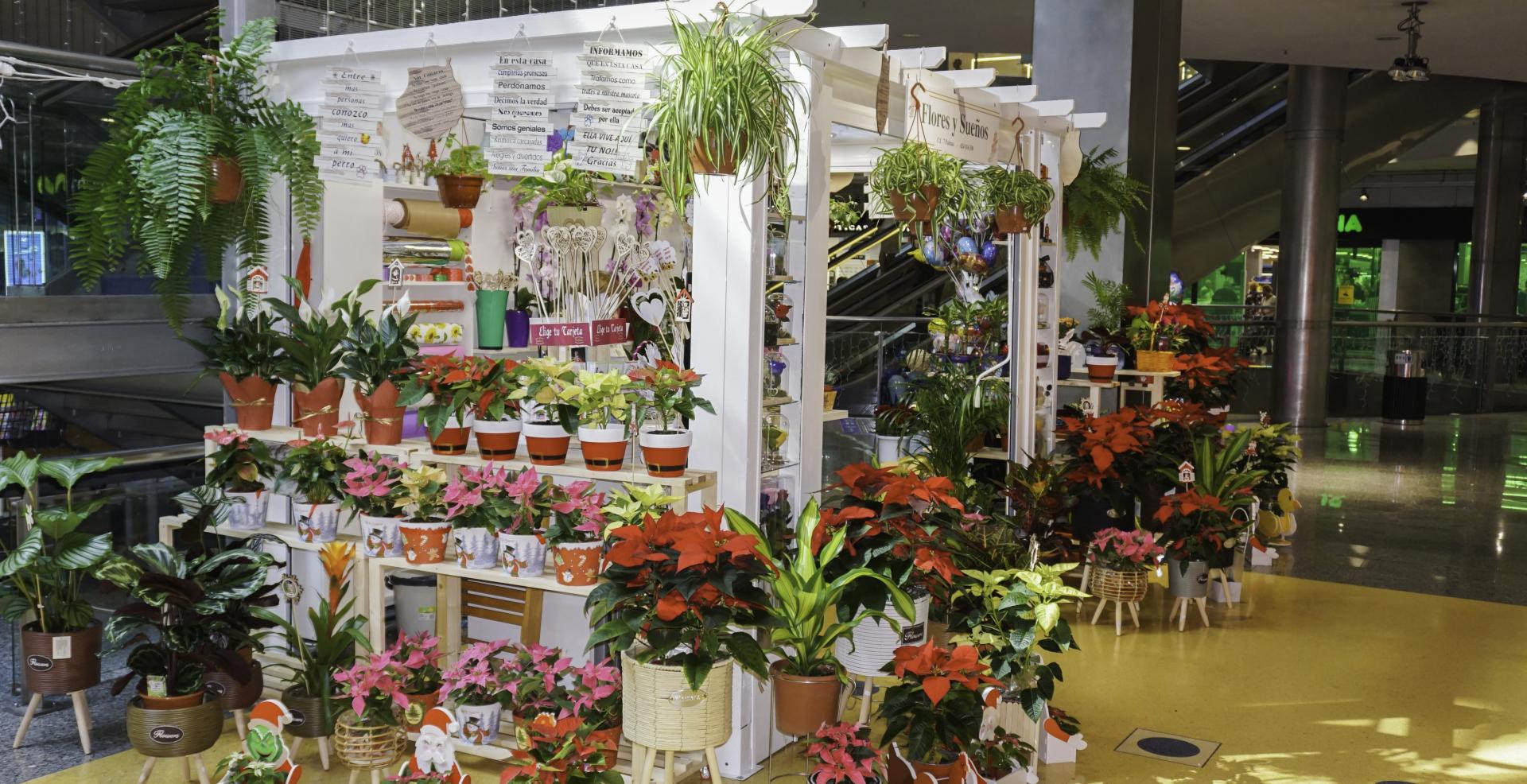Colores y aromas de primavera | Centro comercial Siete Palmas